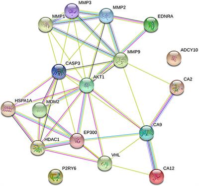 Pharmacological Versus Non-Pharmacological and Ancillary Mechanisms in Eye Drops Used in the Treatment of Glaucoma